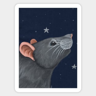 Grey Rat Star Gazing Sticker